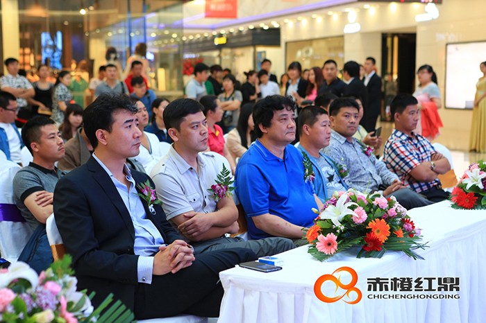 北京汽車D50珅寶沈陽上市發布會