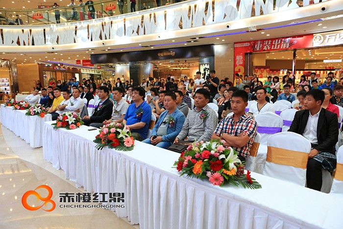 北京汽車D50珅寶沈陽上市發布會