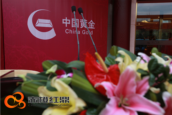 北京汽車D50珅寶沈陽上市發布會